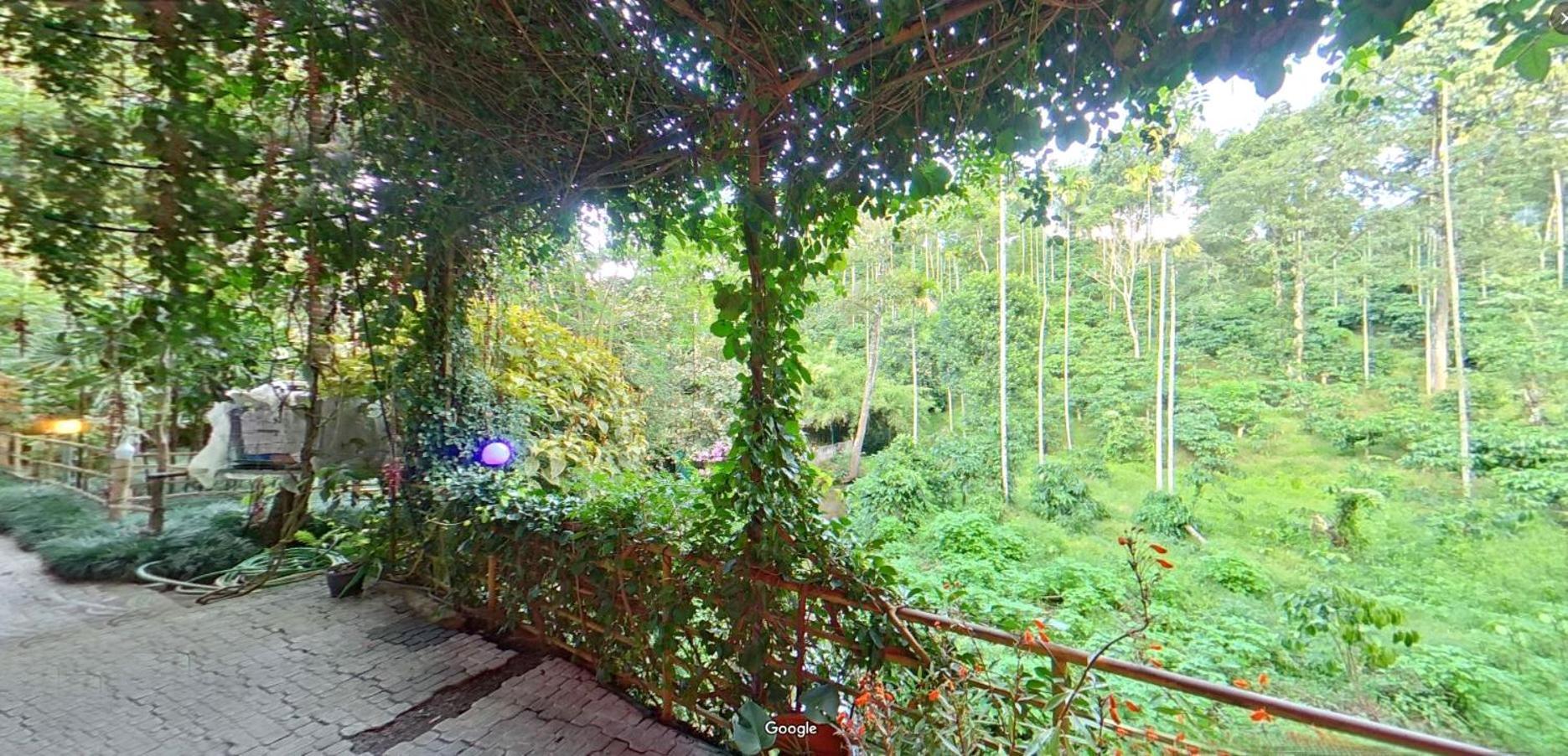 Bed and Breakfast Wayanad Royal Stream à Kalpatta Extérieur photo